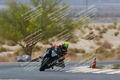 media/Apr-10-2022-SoCal Trackdays (Sun) [[f104b12566]]/Turn 5 Tree of Life (1040am)/